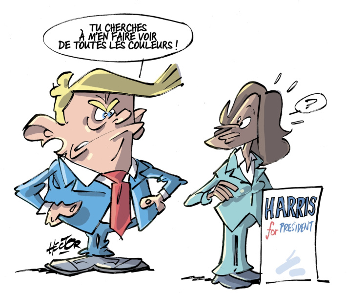 trump-harris